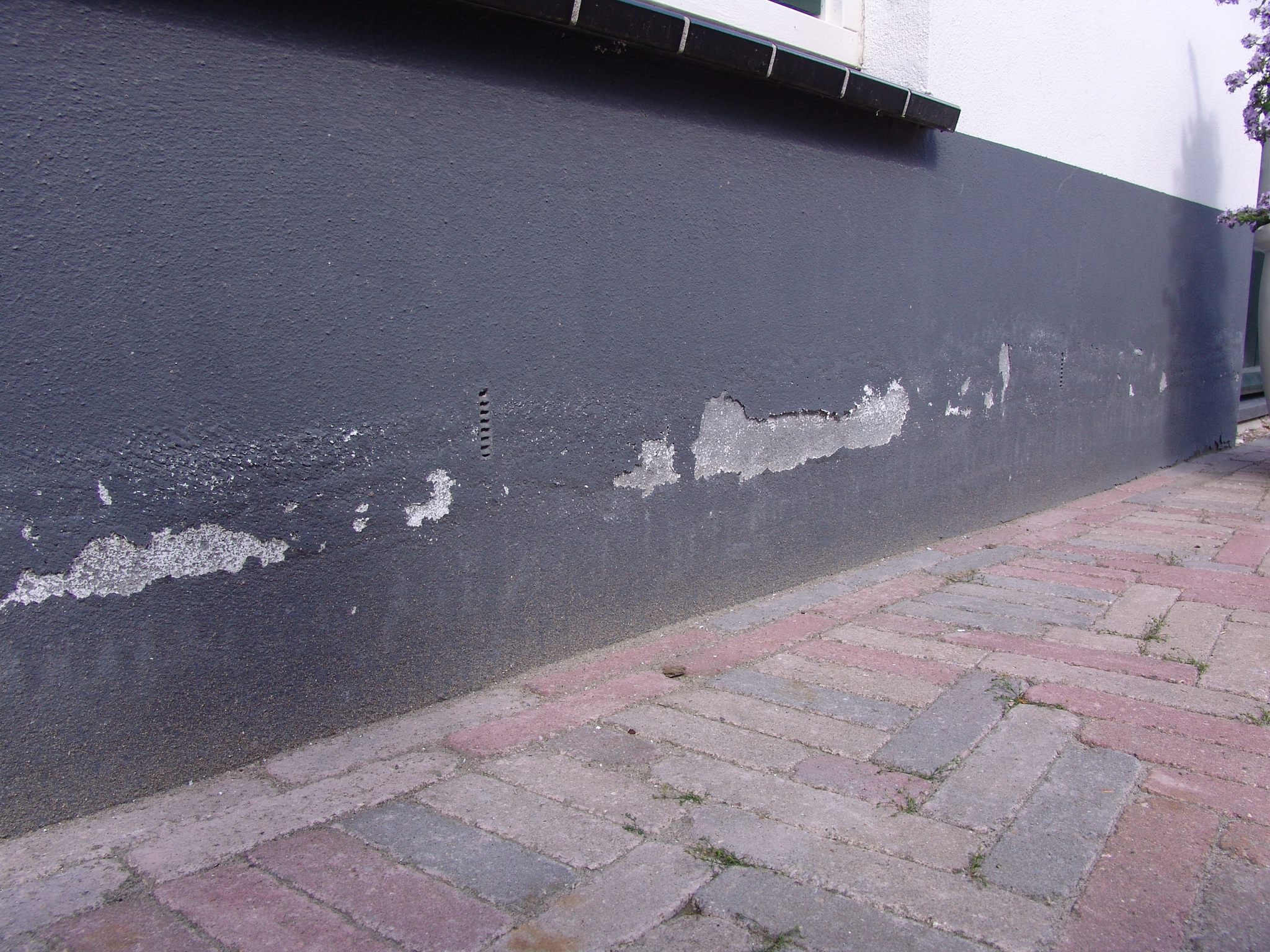 Humidité remontant dans les murs 1.jpg